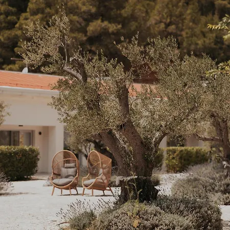 Pensionat Scardona Park Luxury