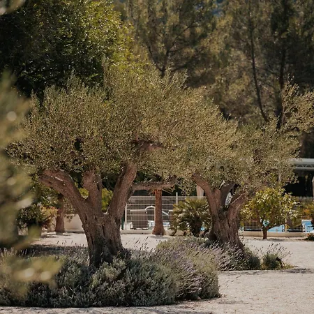 Affittacamere Scardona Park Luxury Skradin