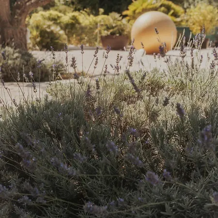 Scardona Park Luxury 4*