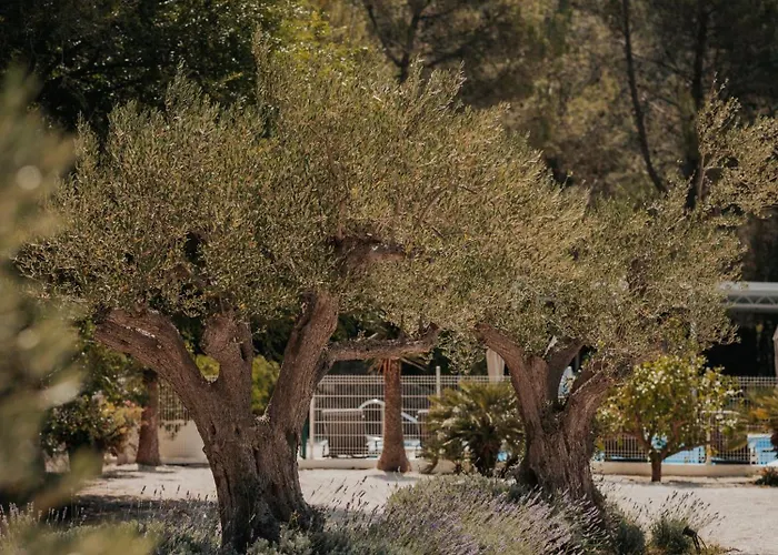 Pensionat Scardona Park Luxury Skradin