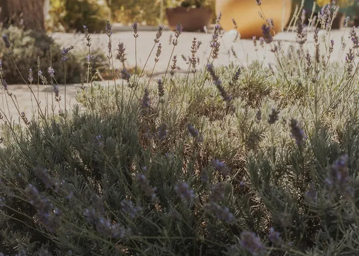 Scardona Park Luxury 4*